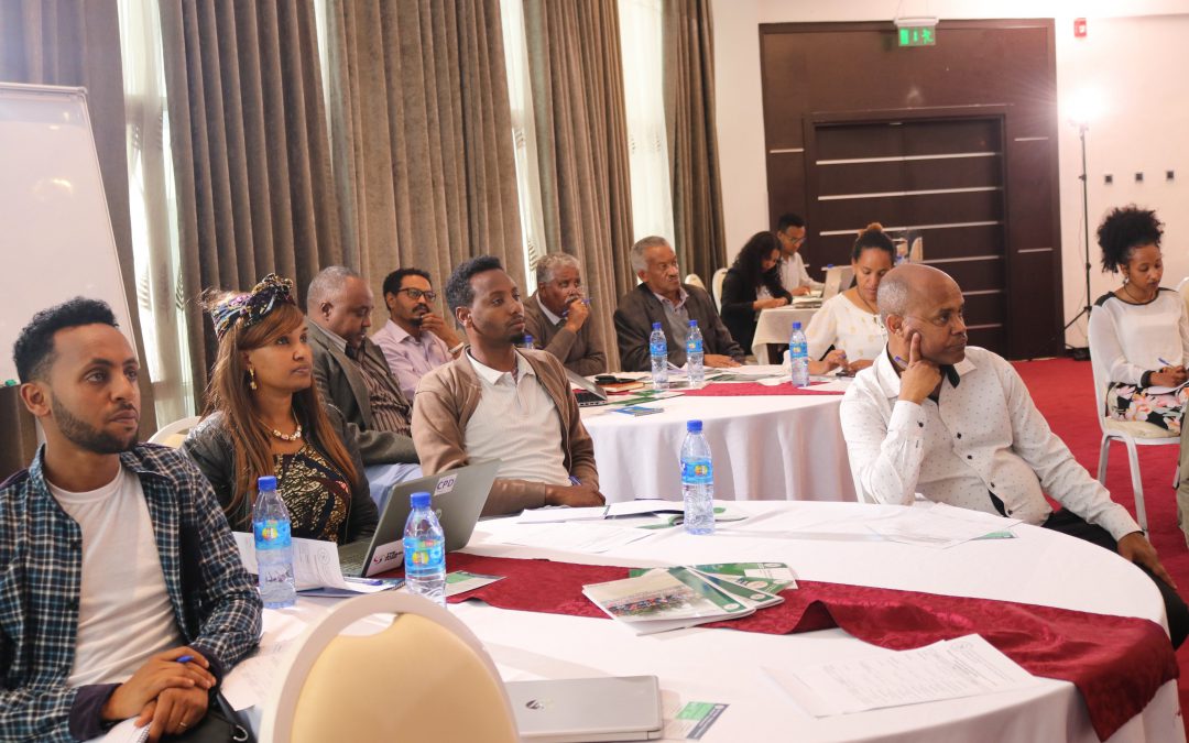 CECOE Holds A Dialogue Session On Citizenship And Ethnic/National Identity In Ethiopia