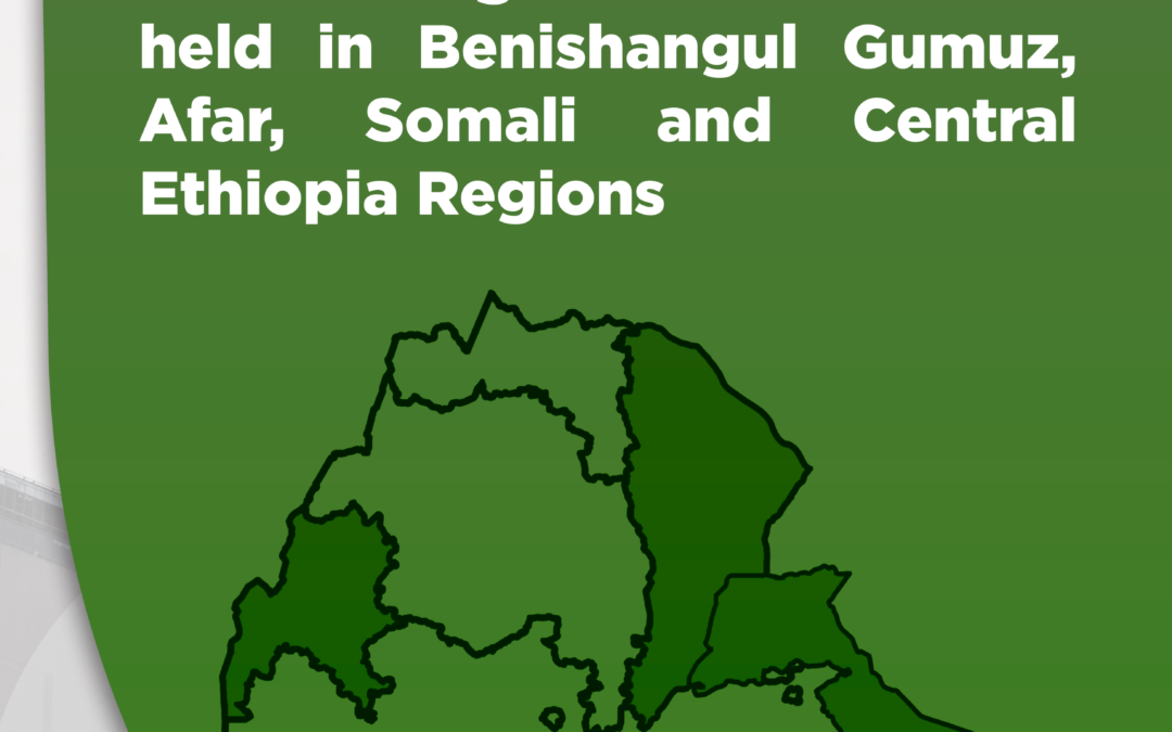 Preliminary Statement on the outstanding and reelections held in Benishangul Gumuz, Afar, Somali and Central Ethiopia Regions